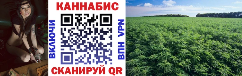 купить наркотик  Тетюши  гидра ССЫЛКА  Марихуана SATIVA & INDICA 